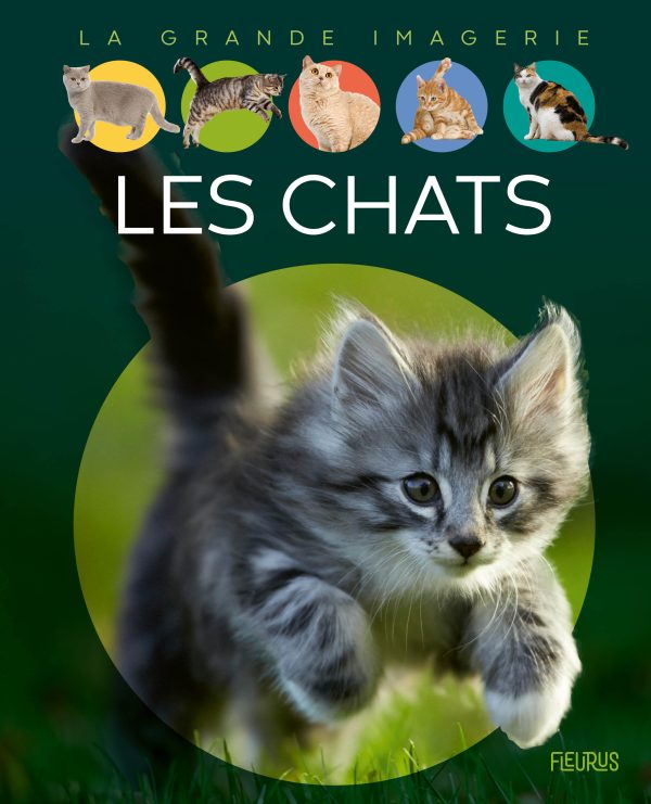 LES CHATS//LA GRANDE IMAGERIE/FLEURUS/