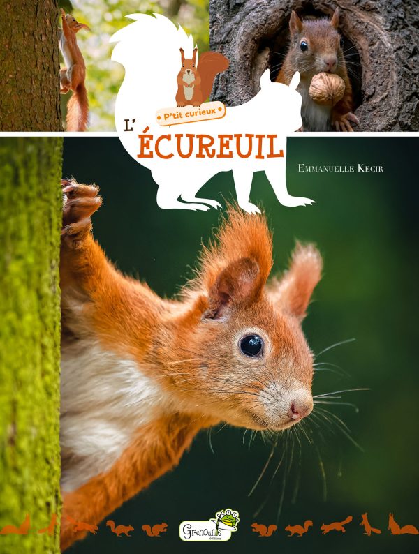 L'ECUREUIL//P'TIT CURIEUX/GRENOUILLE/