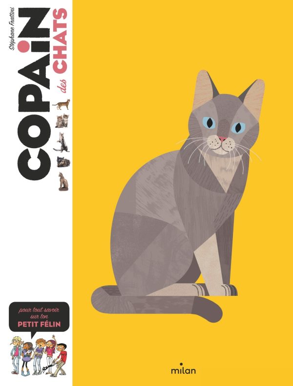 COPAIN - COPAIN DES CHATS - DES 8 ANS//COPAIN/MILAN/