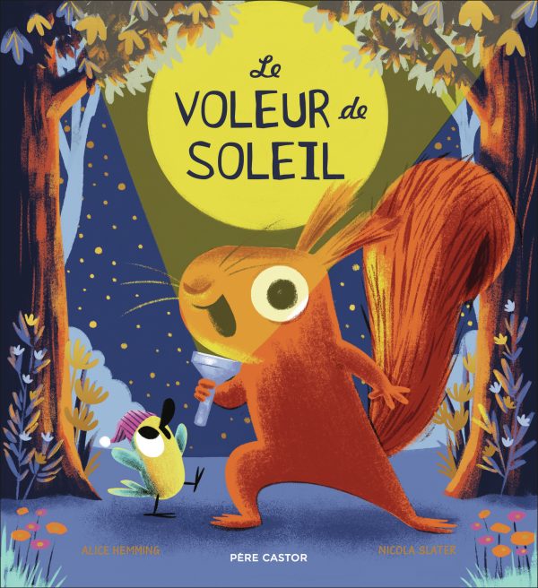 LE VOLEUR DE SOLEIL//LES ALBUMS DU PERE CASTOR/PERE CASTOR/