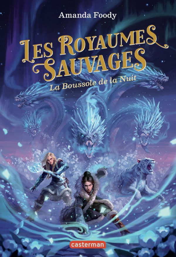 LES ROYAUMES SAUVAGES/4/ROMANS JEUNESSE 8 - 12 ANS/CASTERMAN/