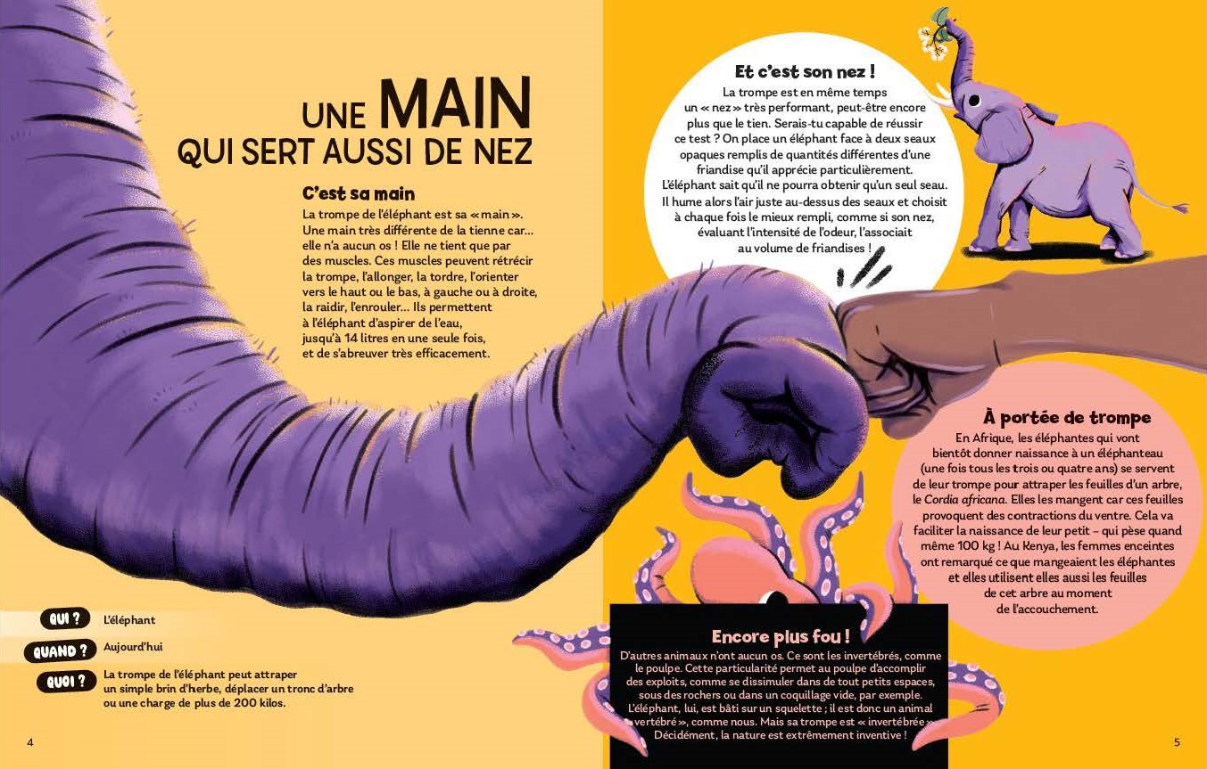 PAS CROYABLE !///NATHAN/ – Image 2