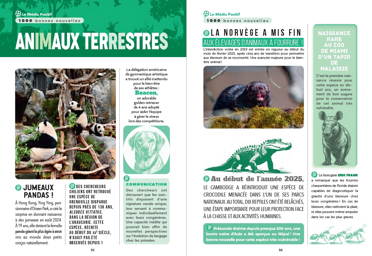 1000 BONNES NOUVELLES POUR VOIR LE MONDE AUTREMENT - EDITION 2025-2026///GRUND/ – Image 4