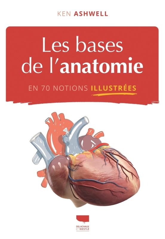 LES BASES DE L'ANATOMIE EN 70 NOTIONS ILLUSTREES//LES BASES DE LA SCIENCE ILLUST