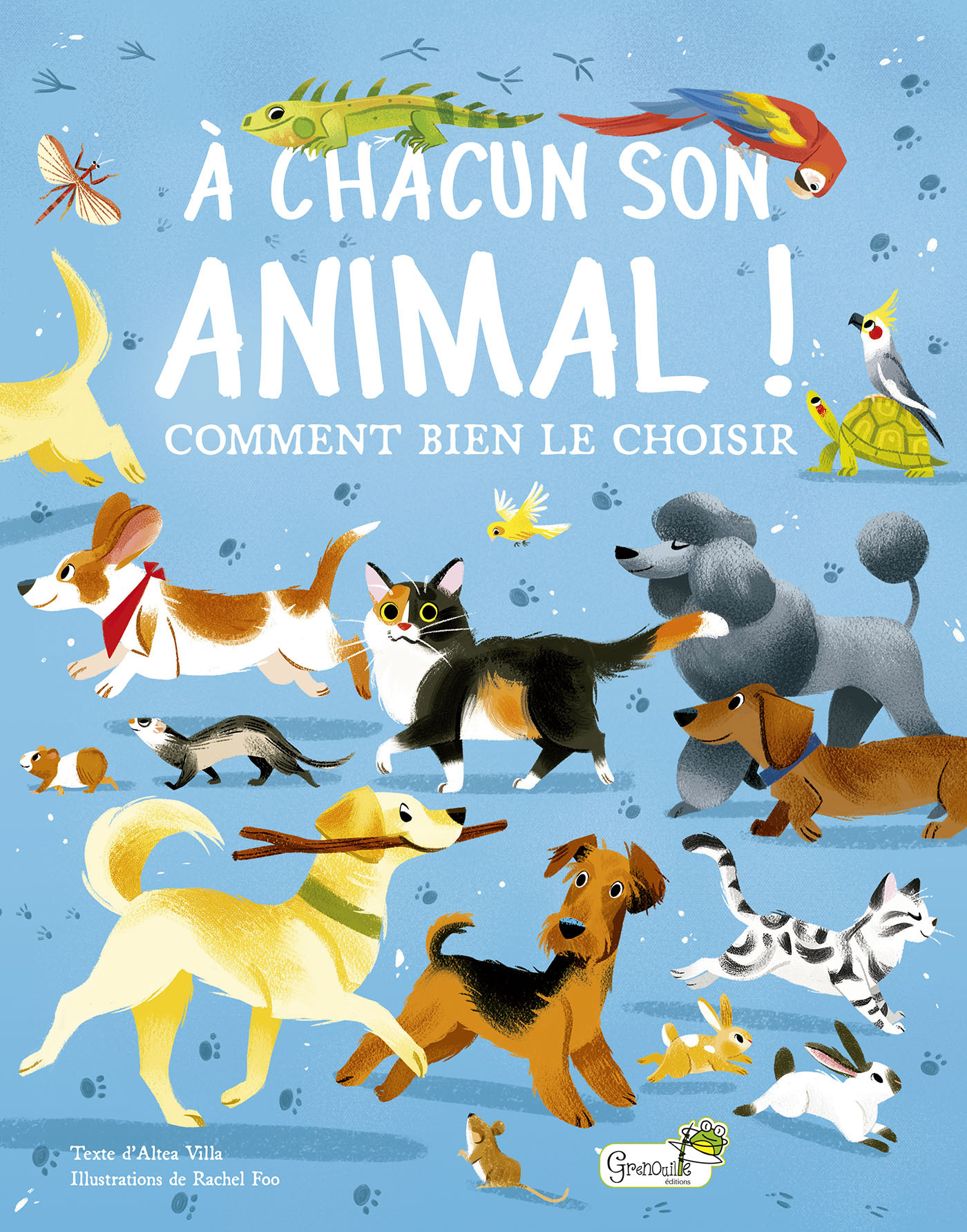A CHACUN SON ANIMAL !///GRENOUILLE/