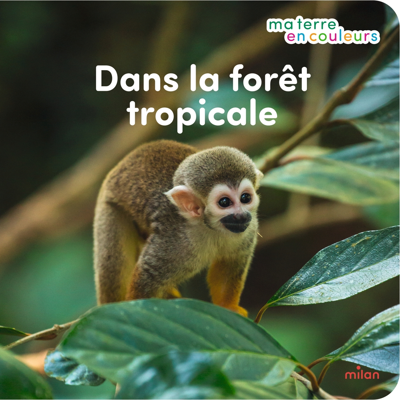 DANS LA FORET TROPICALE//MA TERRE EN COULEURS/MILAN/