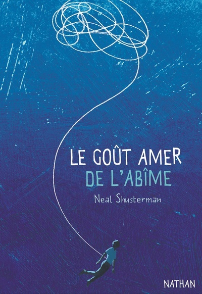 LE GOUT AMER DE L'ABIME//GRAND FORMAT/NATHAN/